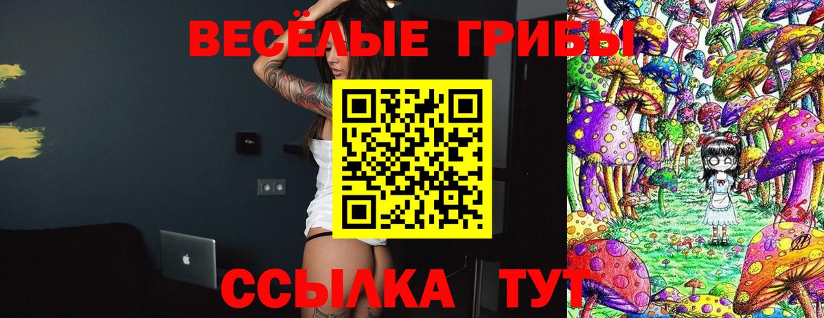 Великий Новгород  Галлюциногенные грибы Magic Shrooms  Вход с VPN 