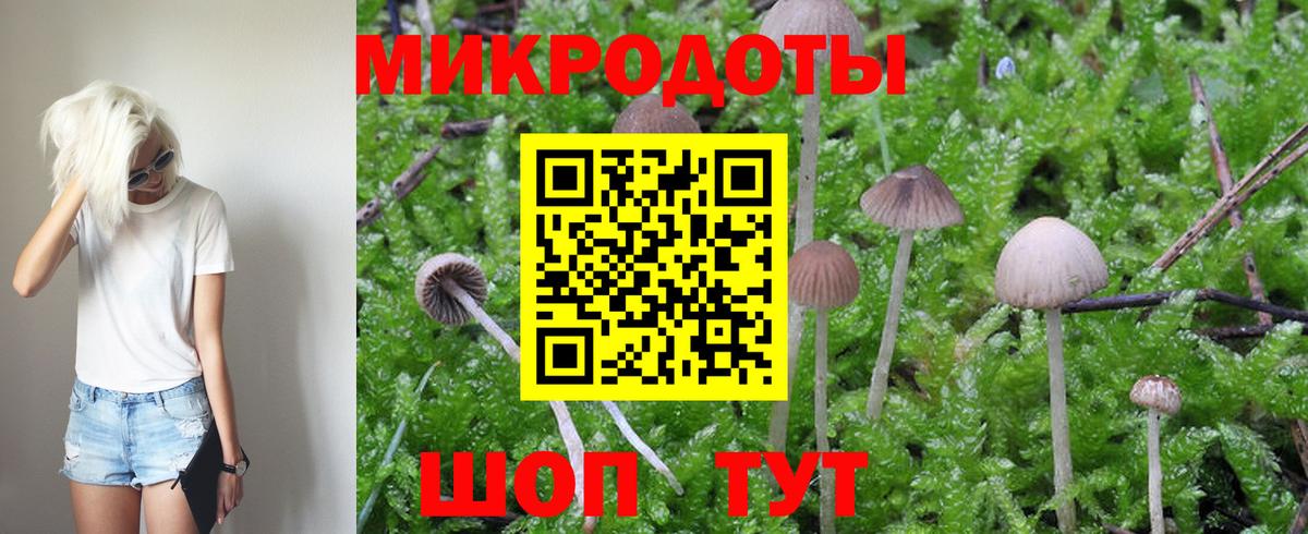 Галлюциногенные грибы MAGIC MUSHROOMS Великий Новгород